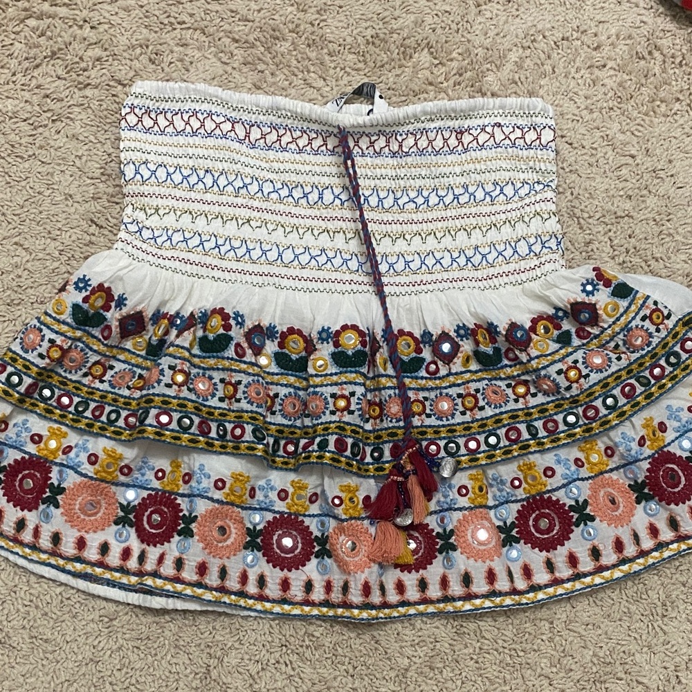 Zara Multicolor Embroidered Skater Skirt